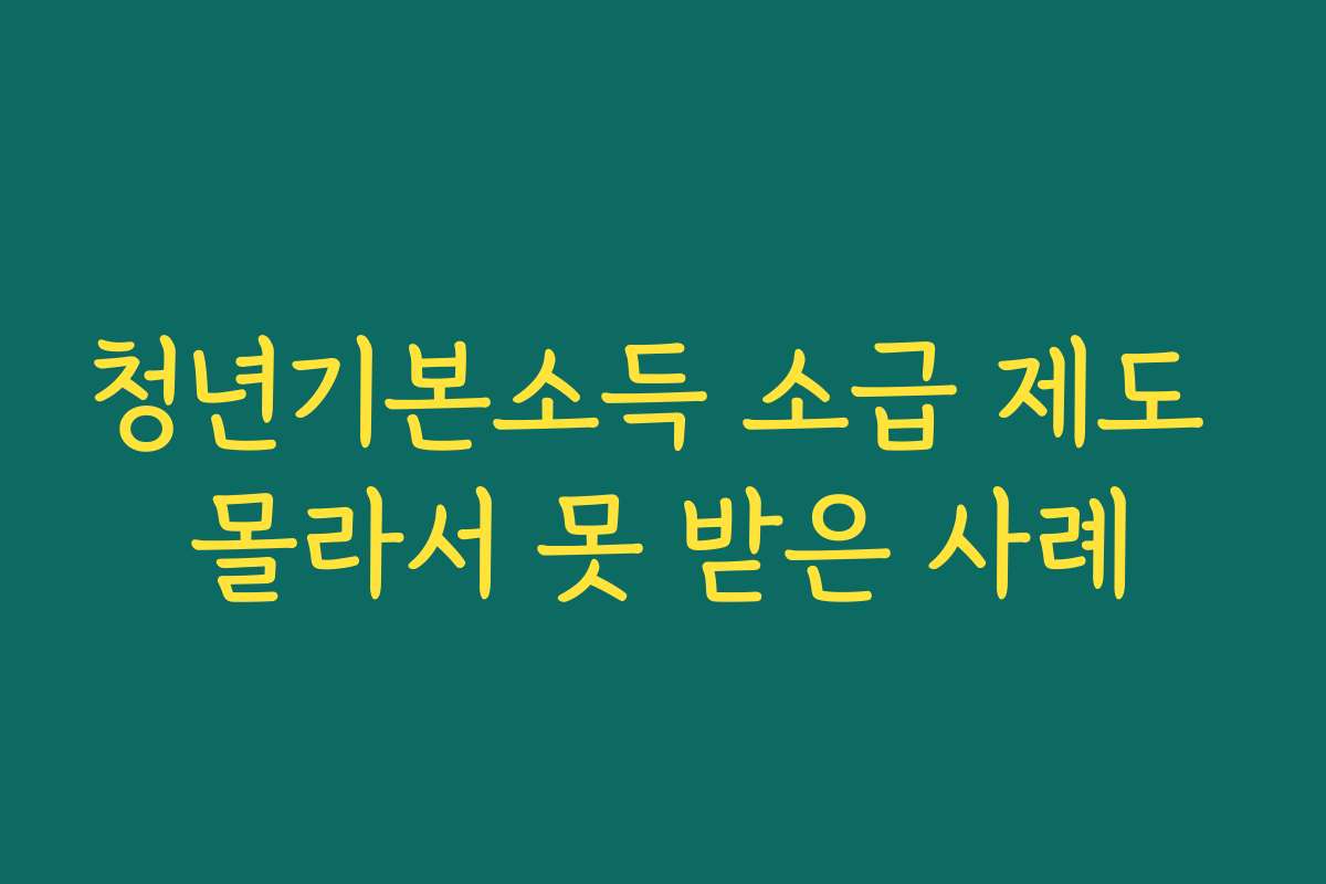 청년기본소득 소급 제도 몰라서 못 받은 사례