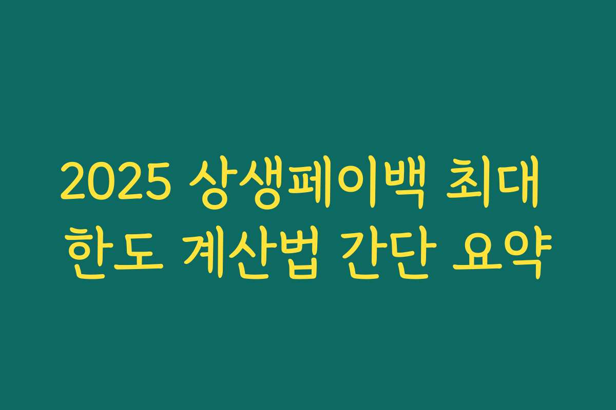 2025 상생페이백 최대 한도 계산법 간단 요약 2025 상생페이백 최대 한도 계산법 간단 요약
