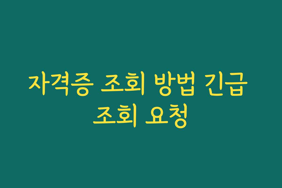 자격증 조회 방법 긴급 조회 요청 자격증 조회 방법 긴급 조회 요청