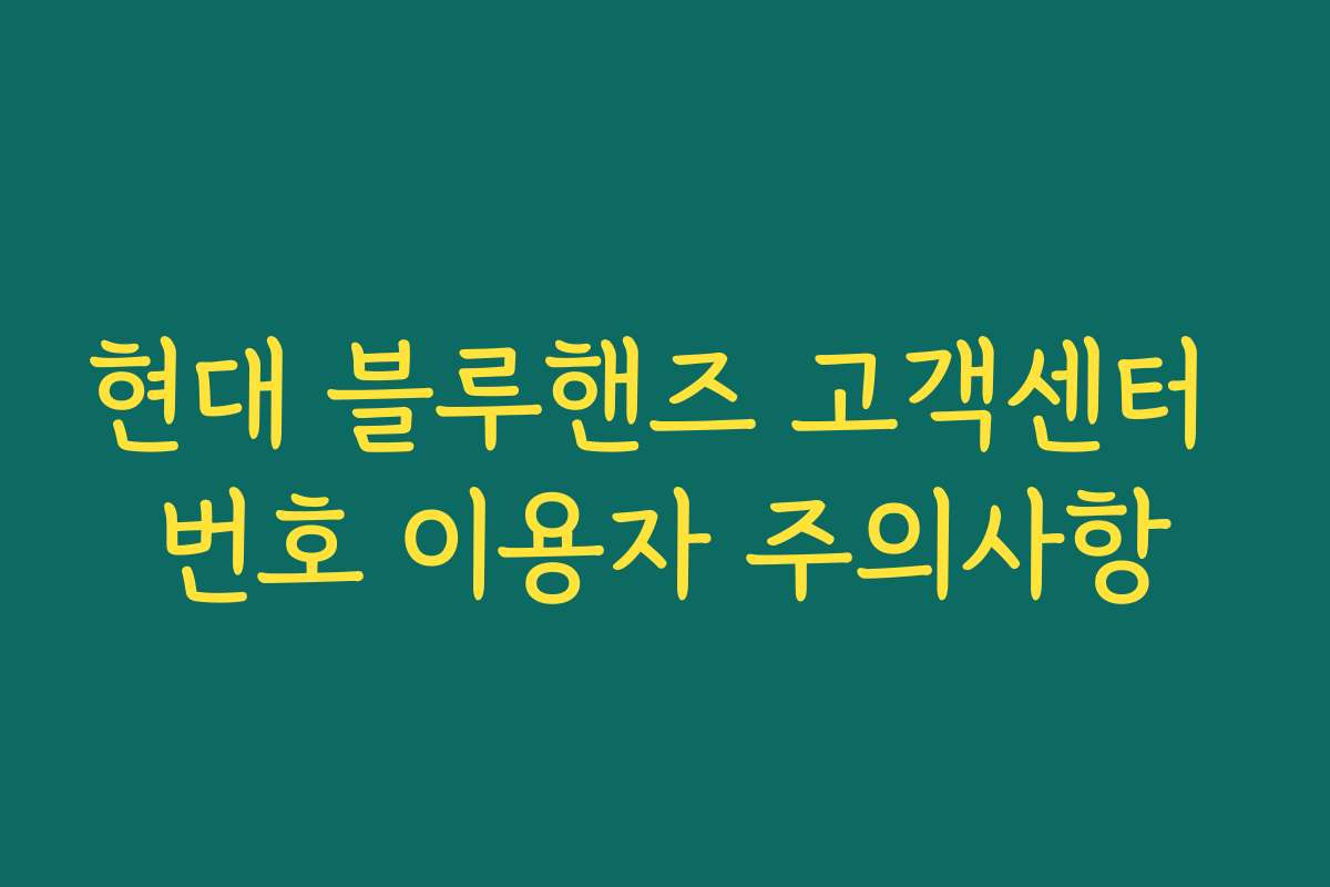 현대 블루핸즈 고객센터 번호 이용자 주의사항 현대 블루핸즈 고객센터 번호 이용자 주의사항