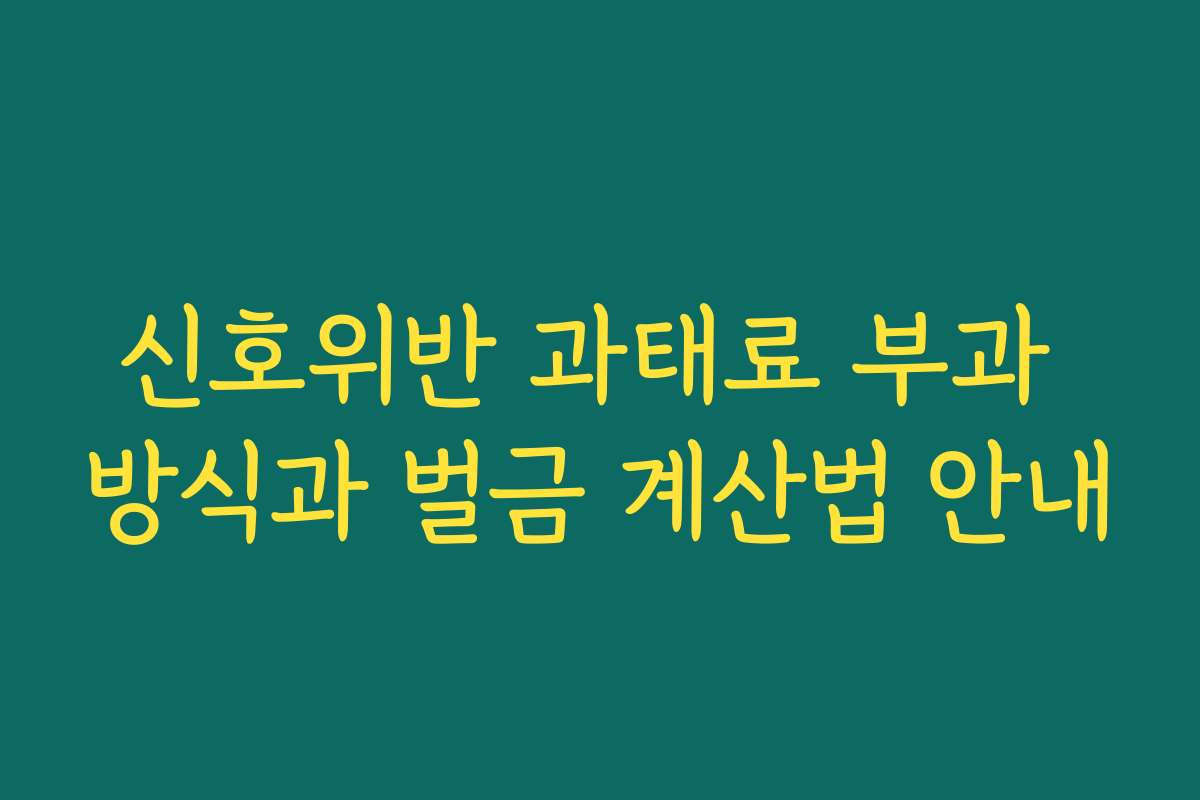 신호위반 과태료 부과 방식과 벌금 계산법 안내