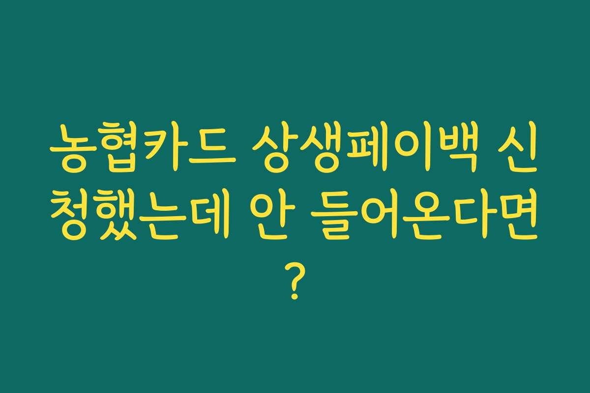 농협카드 상생페이백 신청했는데 안 들어온다면? 농협카드 상생페이백 신청했는데 안 들어온다면?