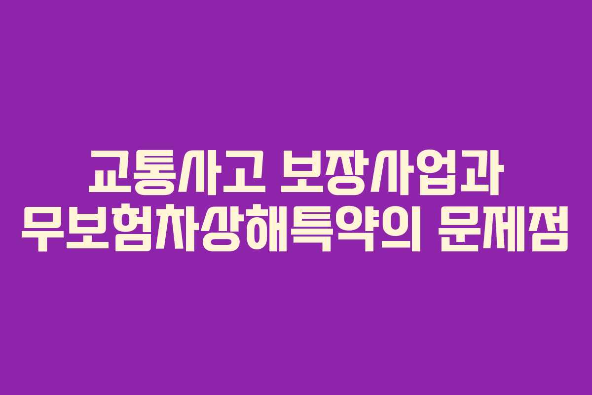 교통사고 보장사업과 무보험차상해특약의 문제점 교통사고 보장사업과 무보험차상해특약의 문제점