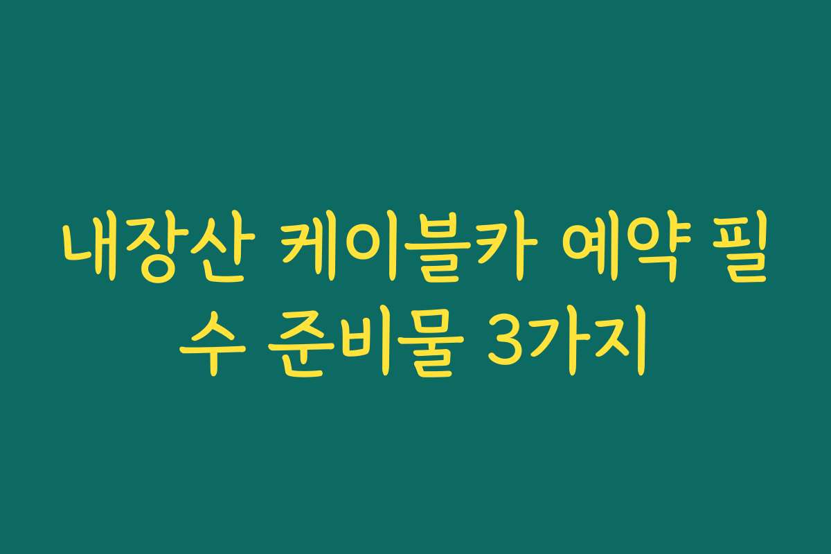 내장산 케이블카 예약 필수 준비물 3가지
