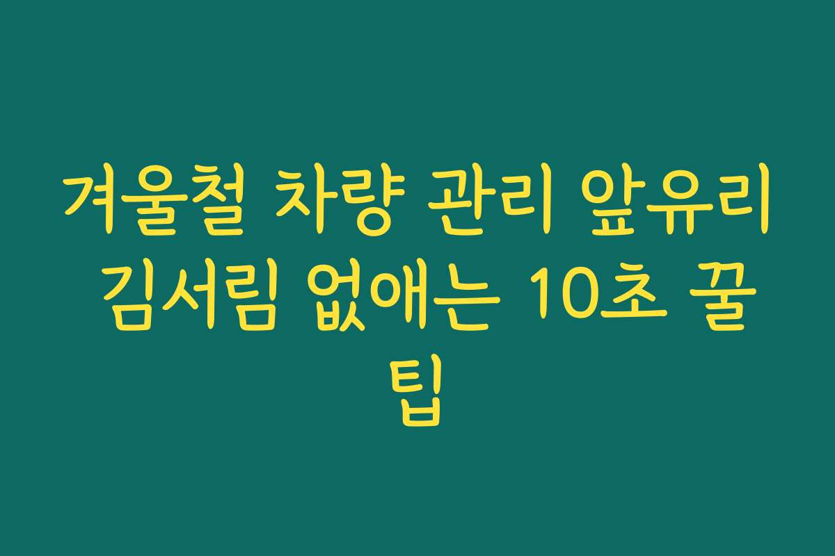 겨울철 차량 관리 앞유리 김서림 없애는 10초 꿀팁