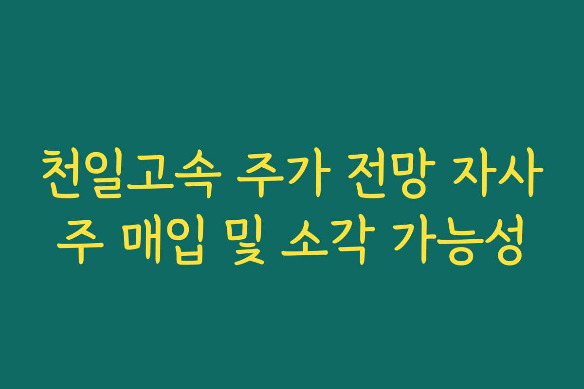 천일고속 주가 전망 자사주 매입 및 소각 가능성