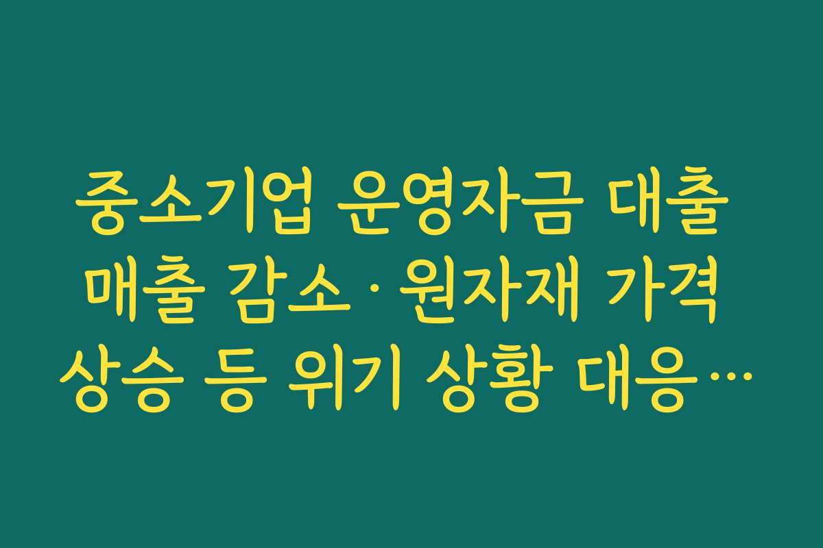 중소기업 운영자금 대출 매출 감소·원자재 가격 상승 등 위기 상황 대응 자금 활용 사례