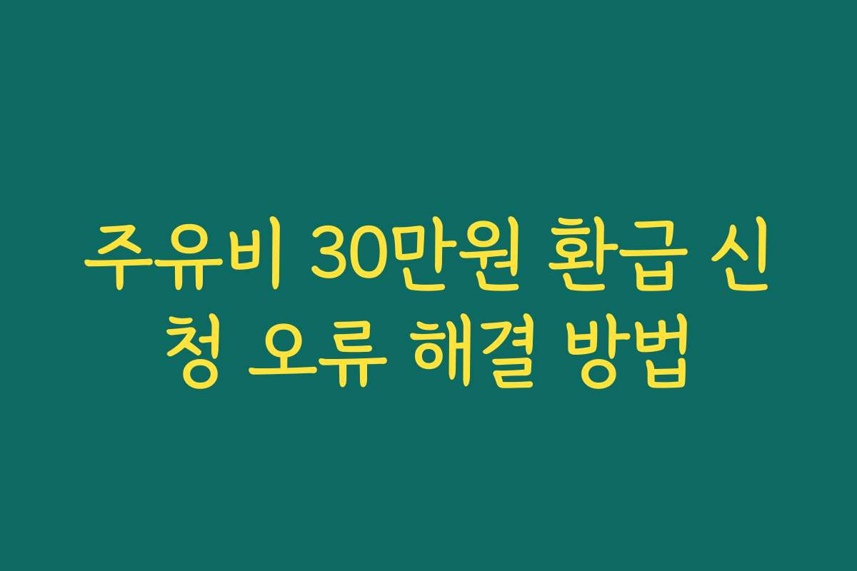 주유비 30만원 환급 신청 오류 해결 방법