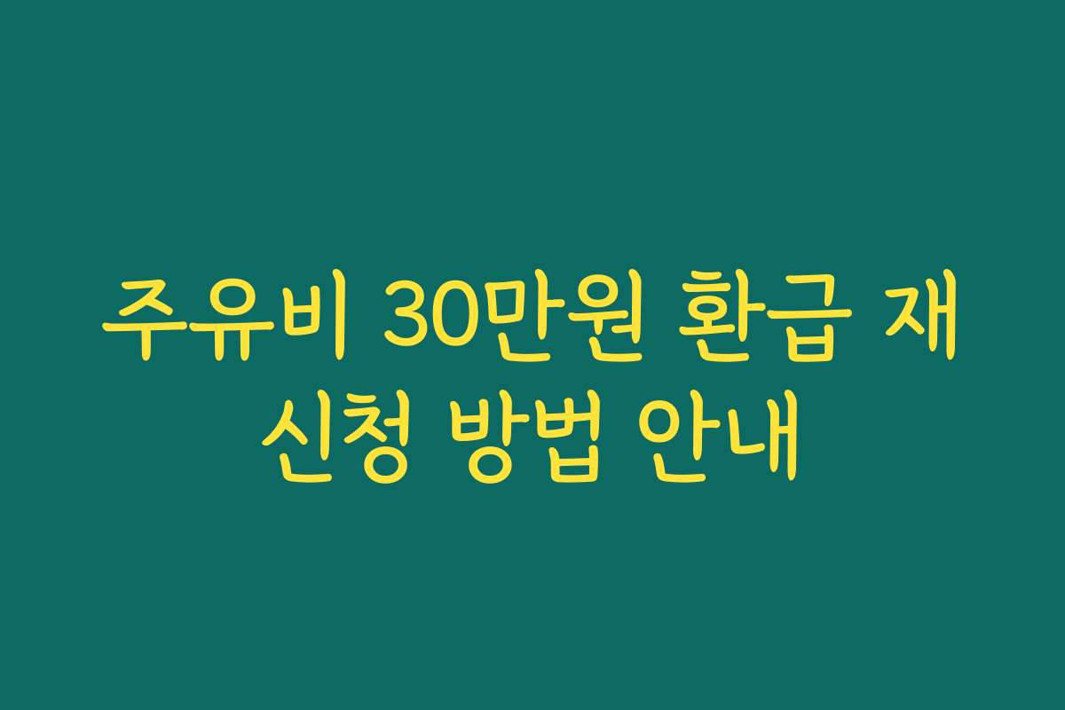 주유비 30만원 환급 재신청 방법 안내