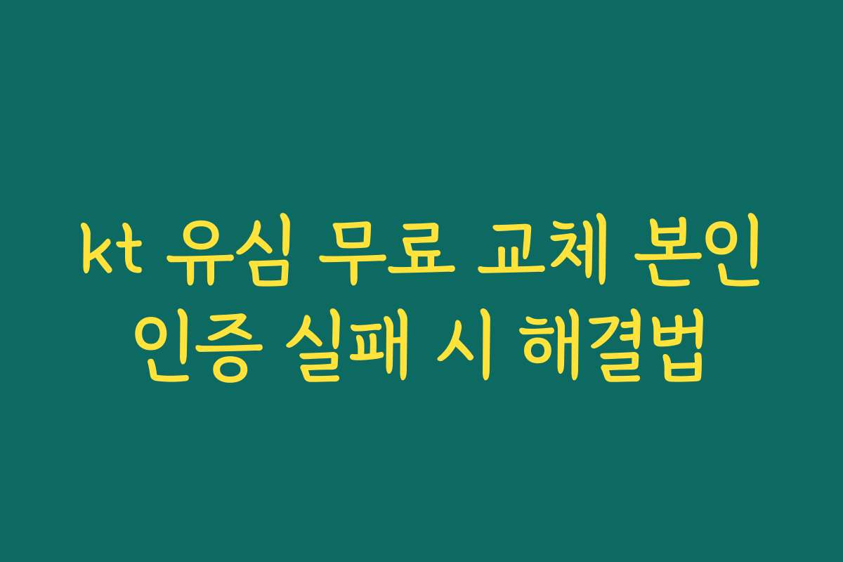 kt 유심 무료 교체 본인인증 실패 시 해결법