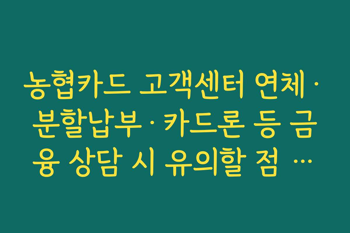 농협카드 고객센터 연체·분할납부·카드론 등 금융 상담 시 유의할 점 정리