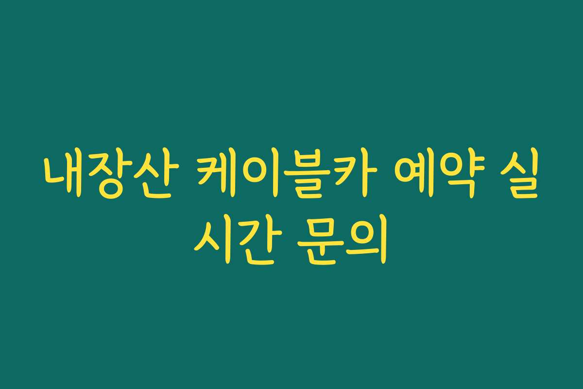 내장산 케이블카 예약 실시간 문의