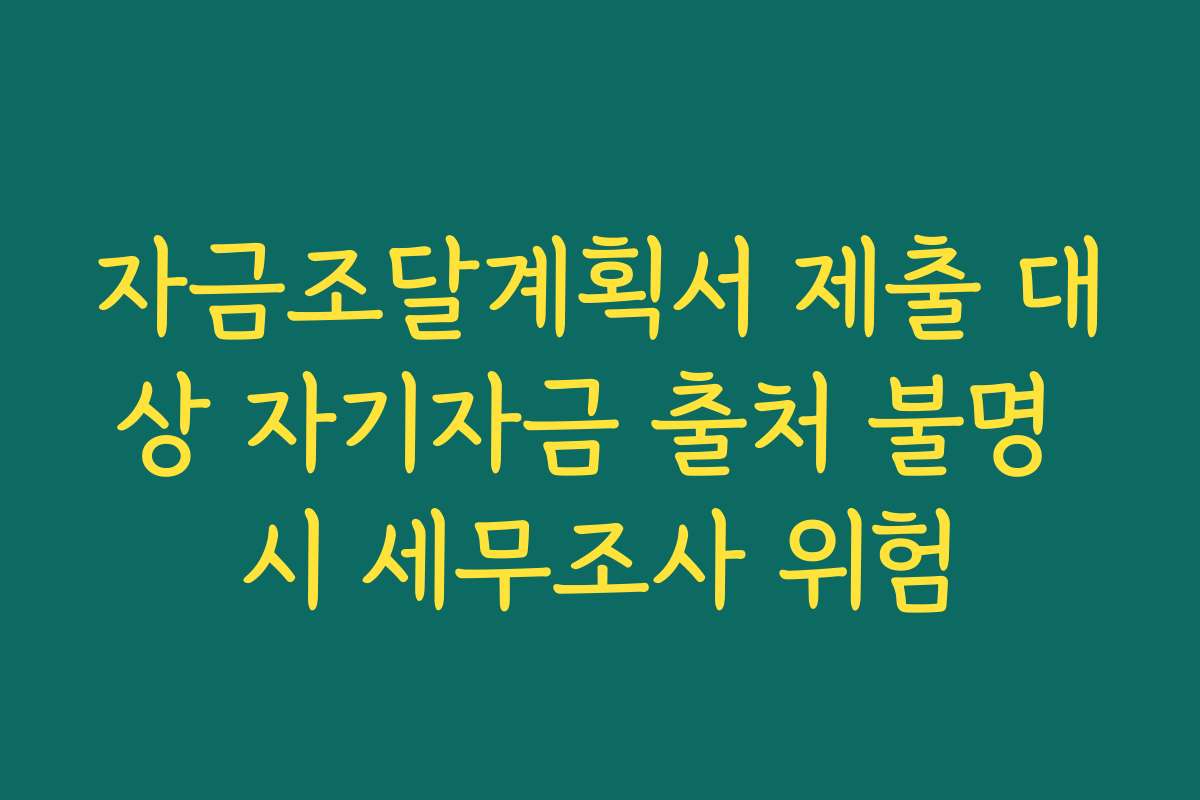 자금조달계획서 제출 대상 자기자금 출처 불명 시 세무조사 위험