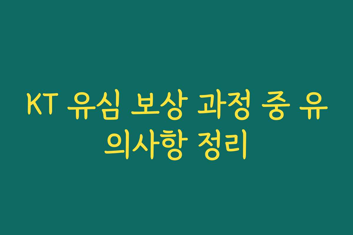KT 유심 보상 과정 중 유의사항 정리