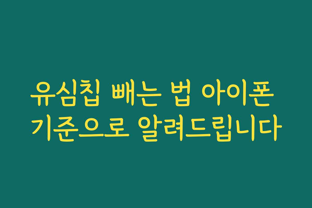 유심칩 빼는 법 아이폰 기준으로 알려드립니다