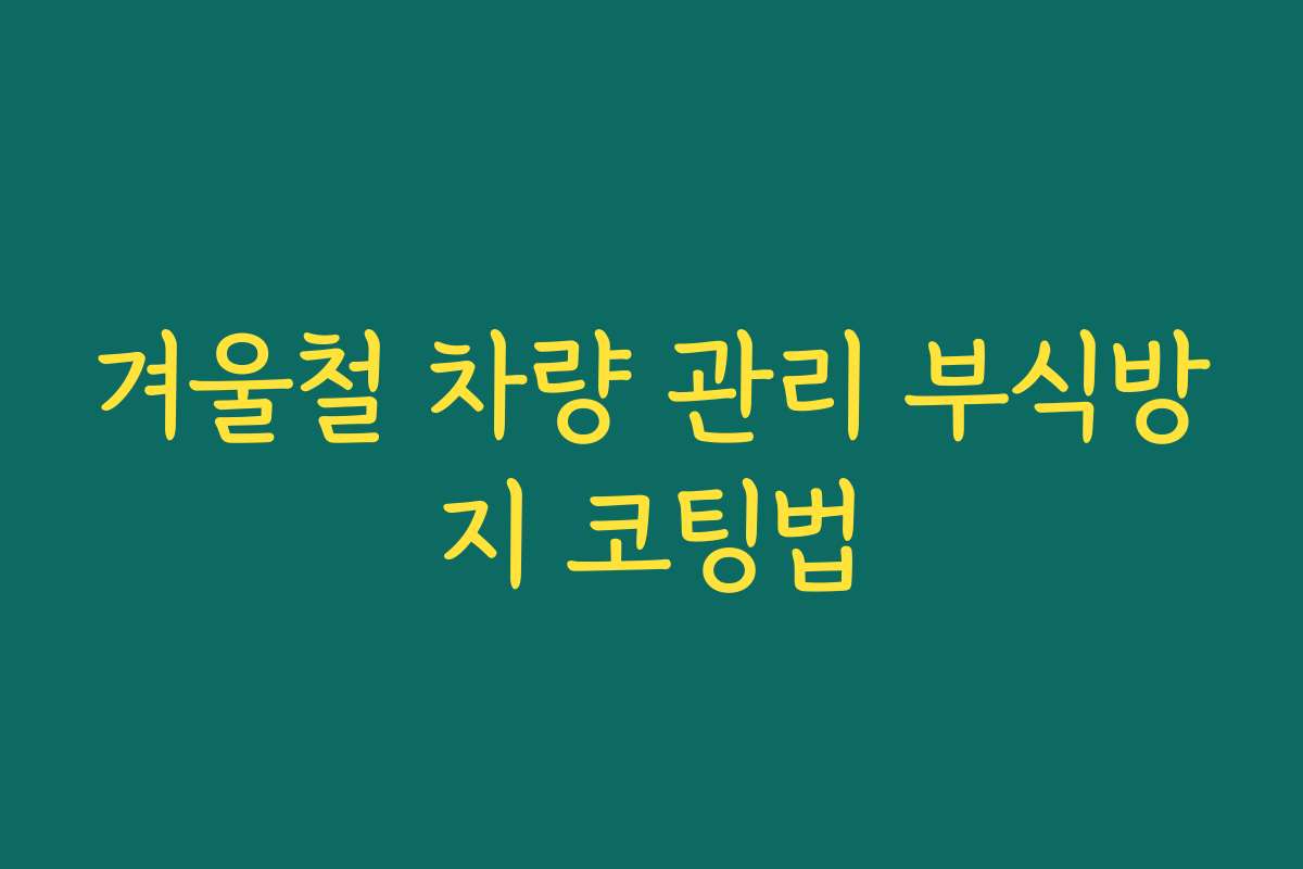 겨울철 차량 관리 부식방지 코팅법