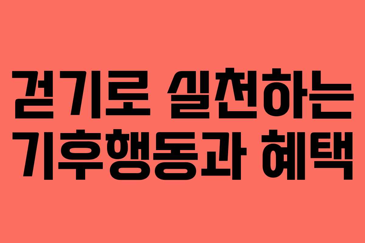 걷기로 실천하는 기후행동과 혜택