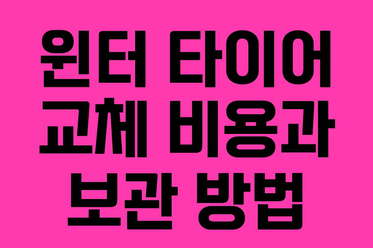 윈터 타이어 교체 비용과 보관 방법
