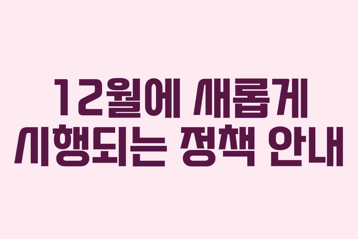12월에 새롭게 시행되는 정책 안내