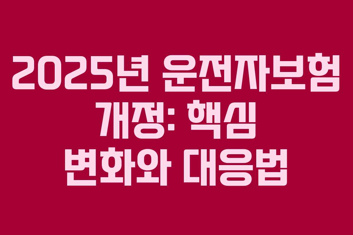 2025년 운전자보험 개정: 핵심 변화와 대응법