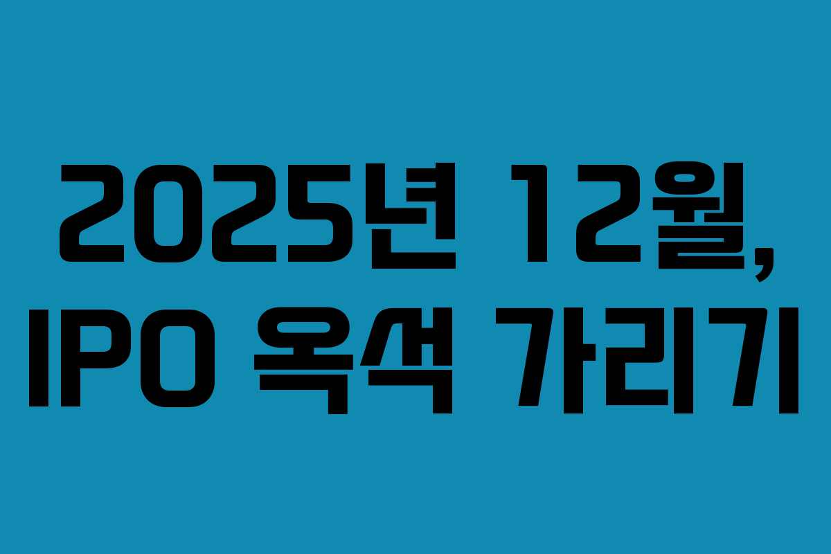 2025년 12월, IPO 옥석 가리기