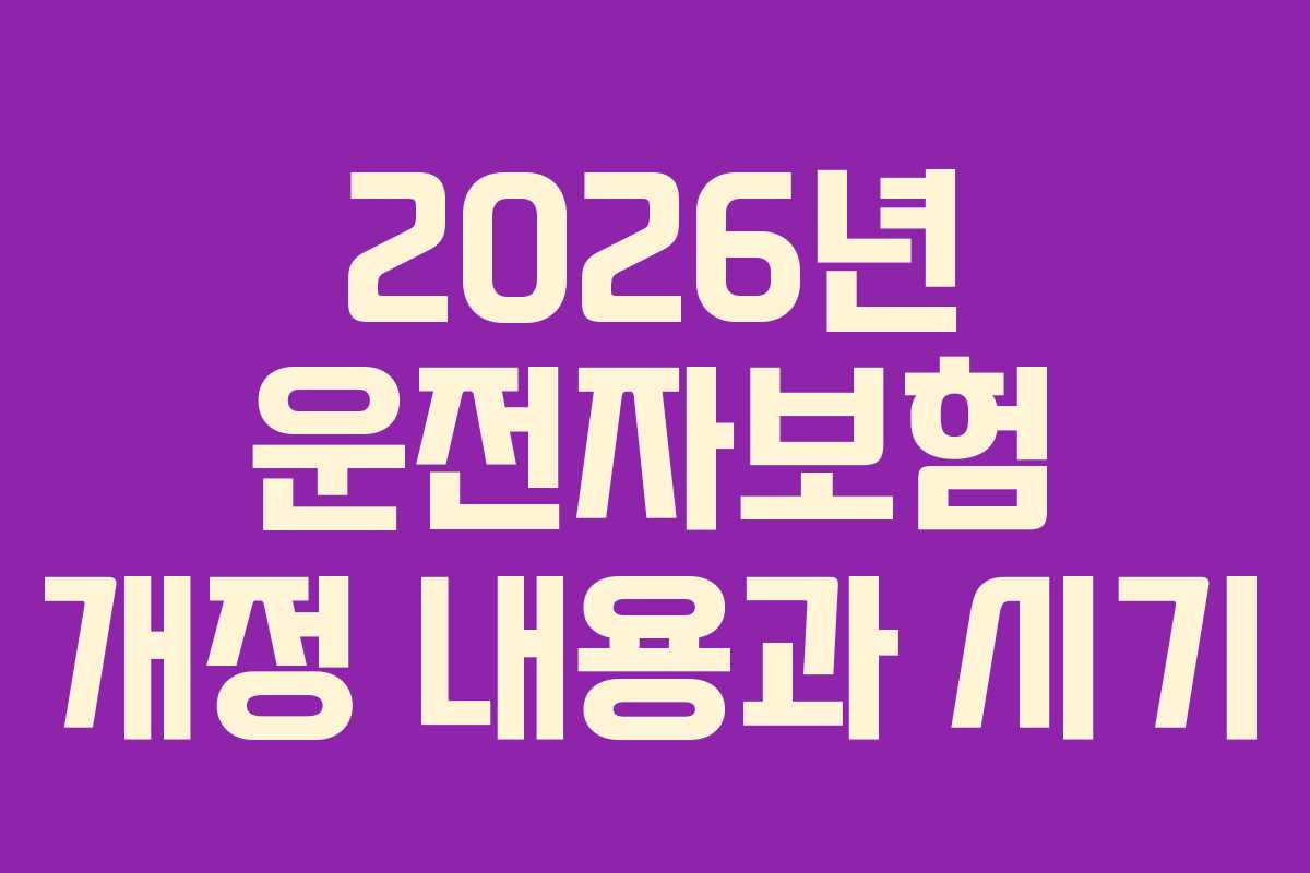 2026년 운전자보험 개정 내용과 시기