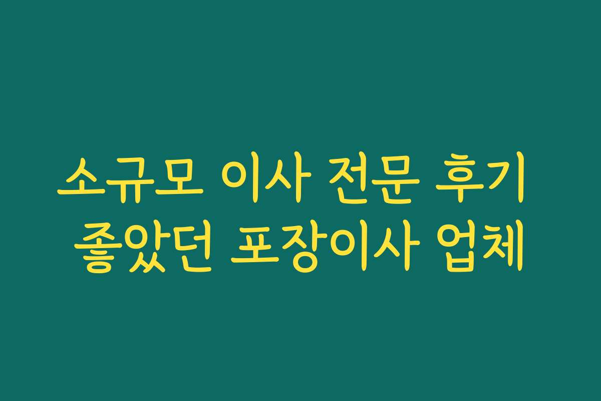 소규모 이사 전문 후기 좋았던 포장이사 업체