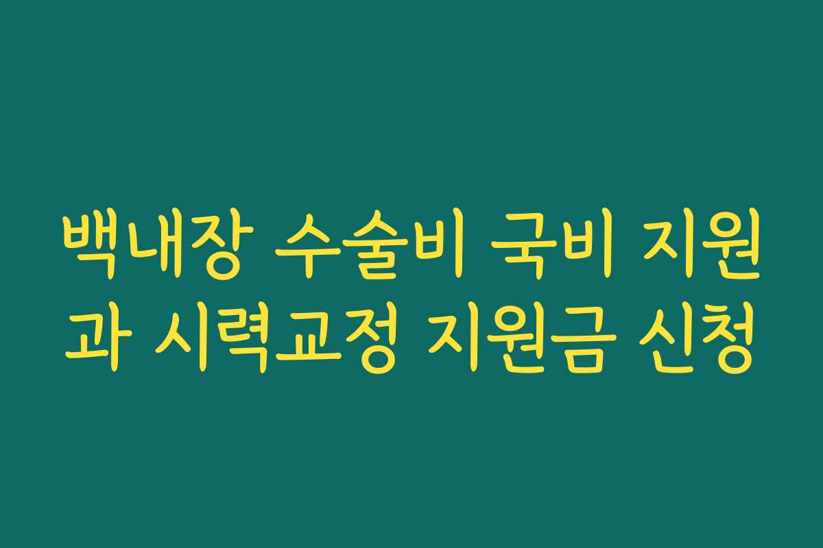 백내장 수술비 국비 지원과 시력교정 지원금 신청