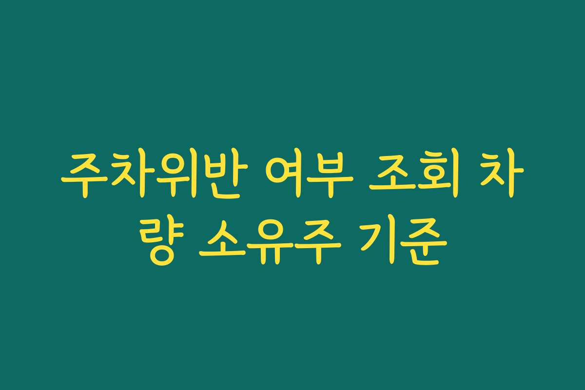 주차위반 여부 조회 차량 소유주 기준