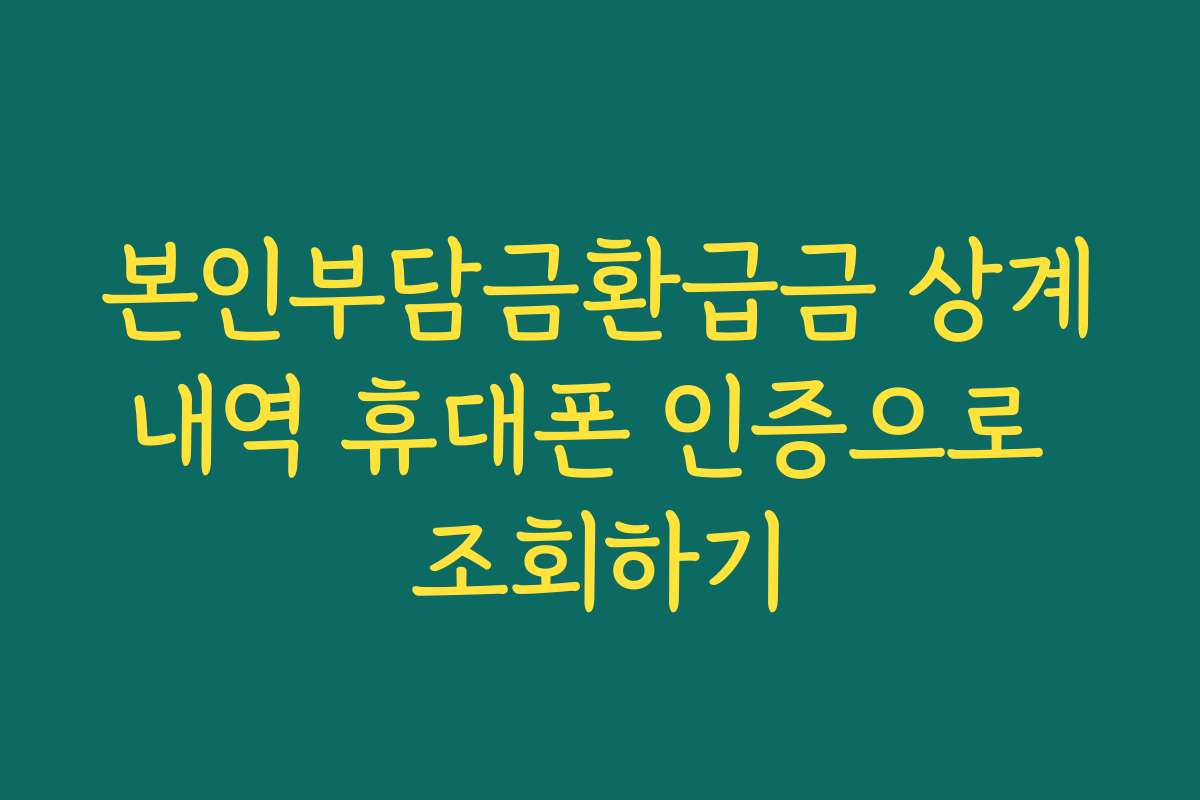 본인부담금환급금 상계내역 휴대폰 인증으로 조회하기