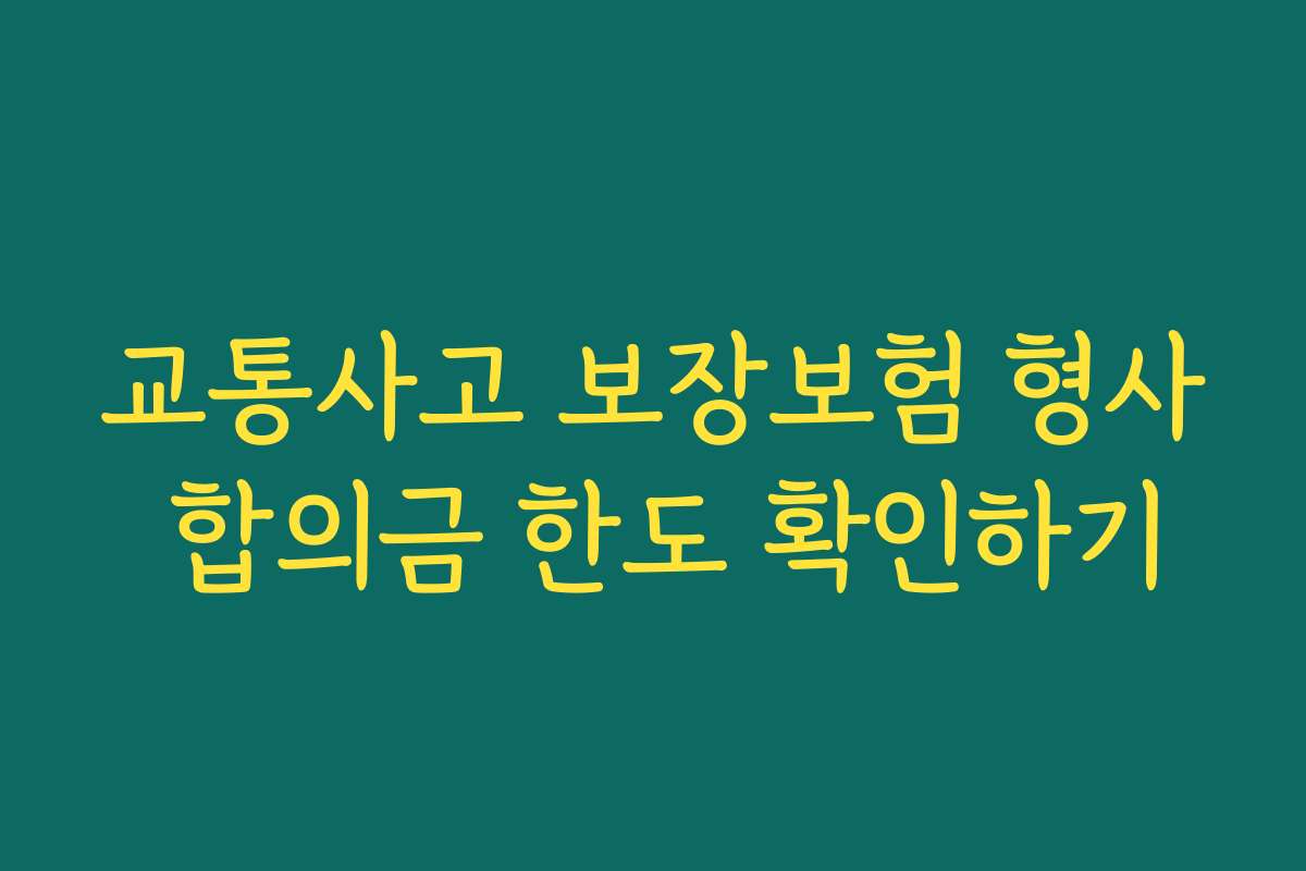 교통사고 보장보험 형사 합의금 한도 확인하기