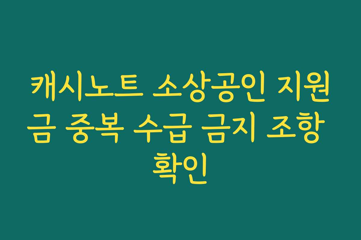캐시노트 소상공인 지원금 중복 수급 금지 조항 확인