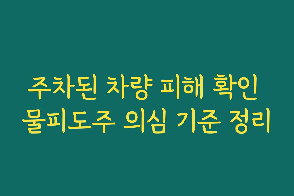 주차된 차량 피해 확인 물피도주 의심 기준 정리