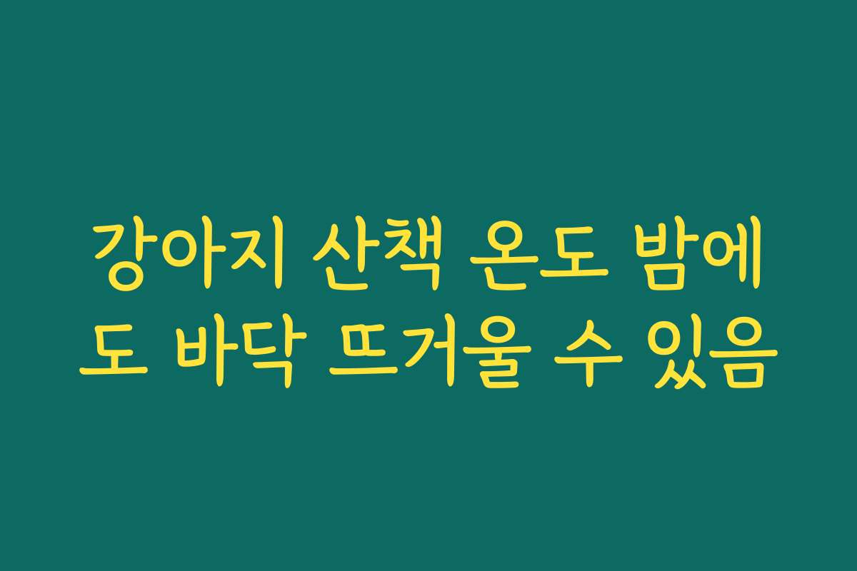 강아지 산책 온도 밤에도 바닥 뜨거울 수 있음