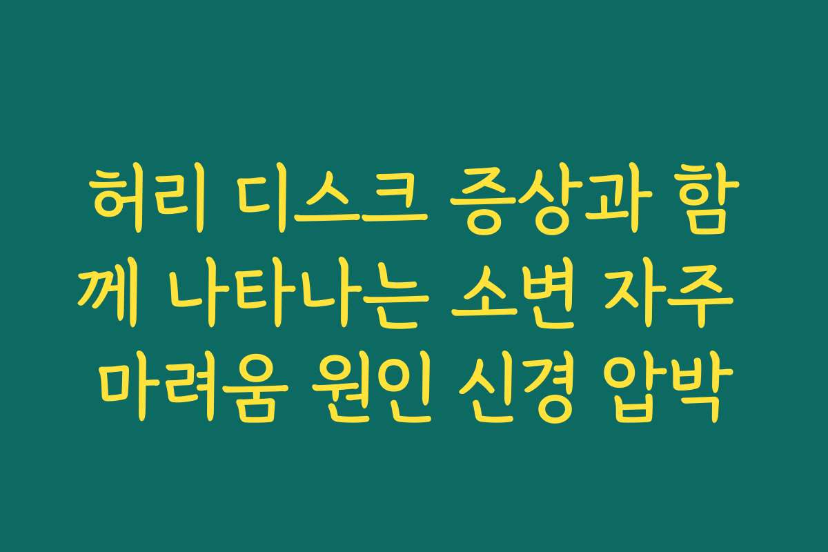 허리 디스크 증상과 함께 나타나는 소변 자주 마려움 원인 신경 압박