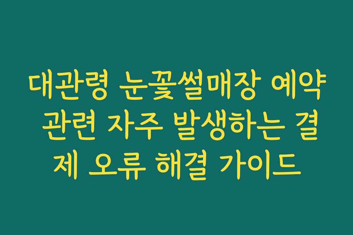 대관령 눈꽃썰매장 예약 관련 자주 발생하는 결제 오류 해결 가이드