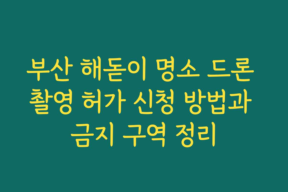 부산 해돋이 명소 드론 촬영 허가 신청 방법과 금지 구역 정리