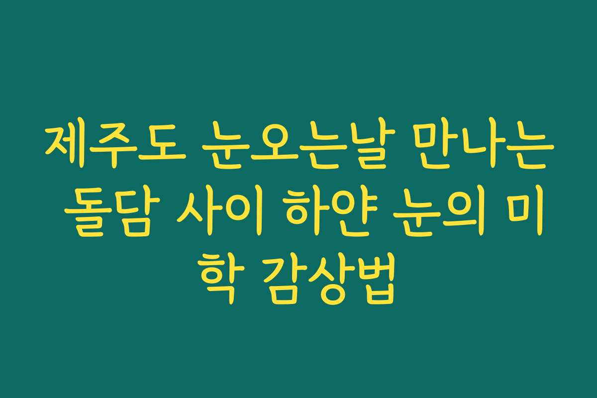 제주도 눈오는날 만나는 돌담 사이 하얀 눈의 미학 감상법