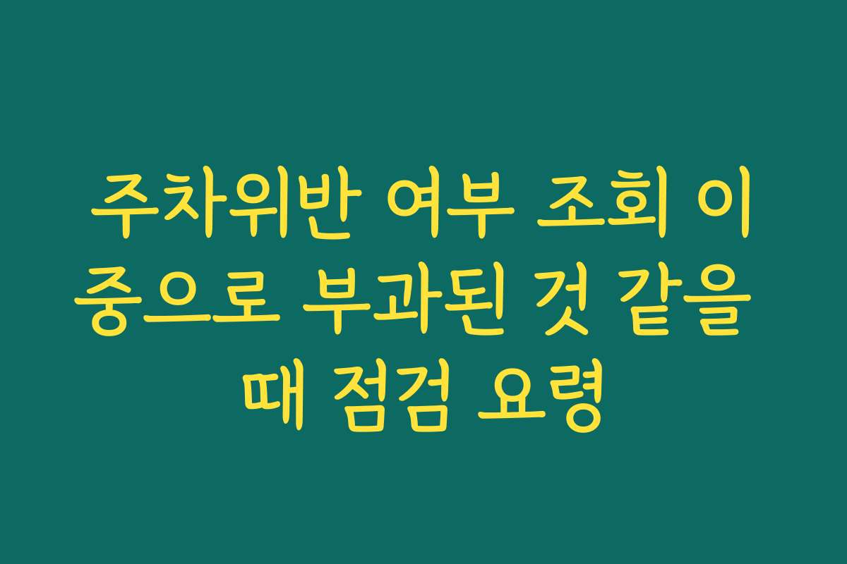 주차위반 여부 조회 이중으로 부과된 것 같을 때 점검 요령