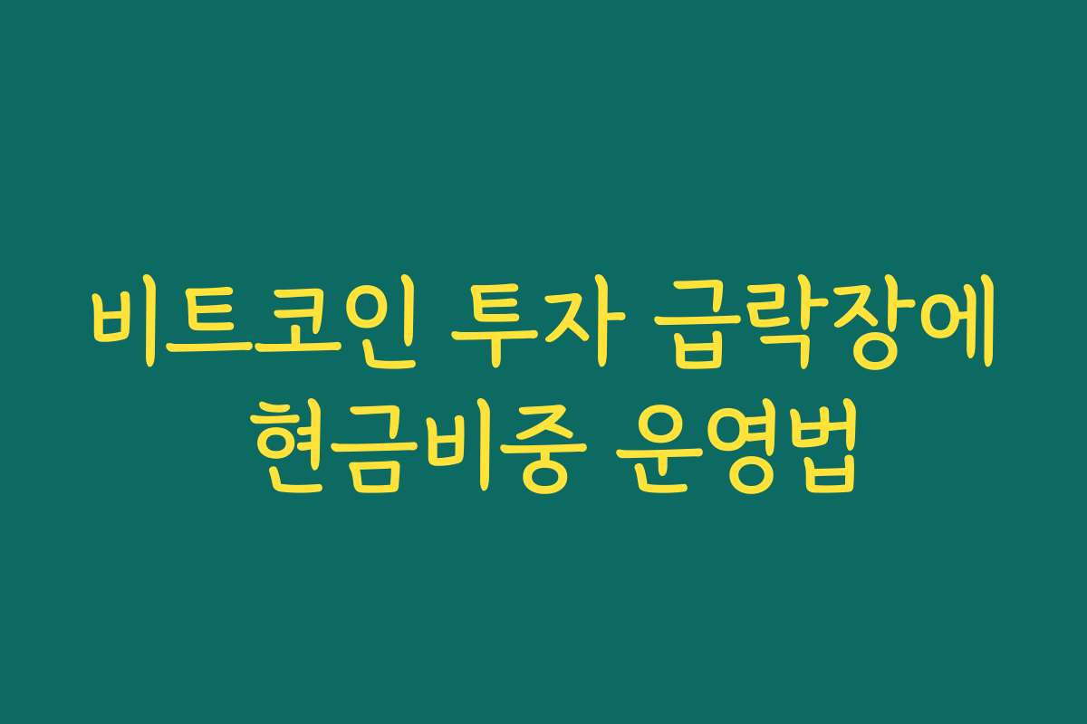 비트코인 투자 급락장에 현금비중 운영법