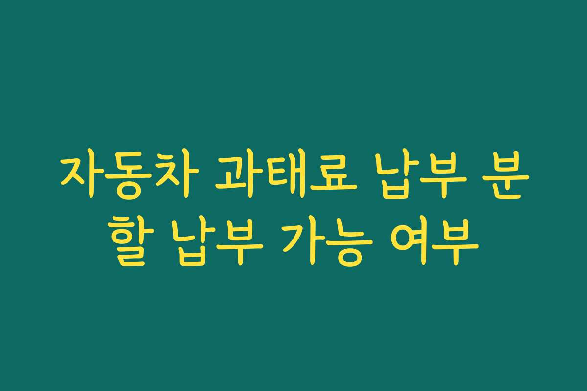 자동차 과태료 납부 분할 납부 가능 여부
