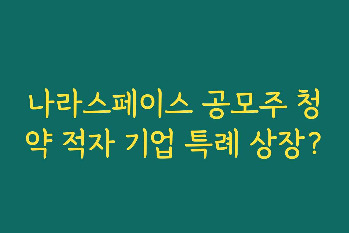 나라스페이스 공모주 청약 적자 기업 특례 상장?