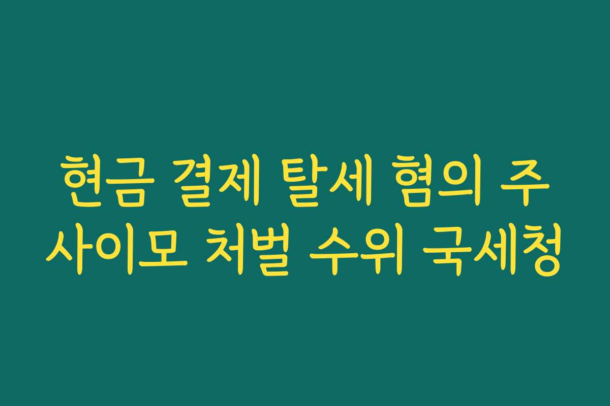 현금 결제 탈세 혐의 주사이모 처벌 수위 국세청