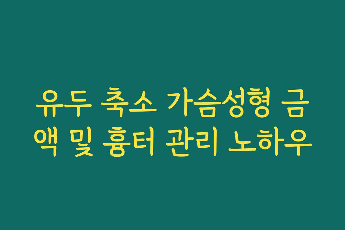 유두 축소 가슴성형 금액 및 흉터 관리 노하우