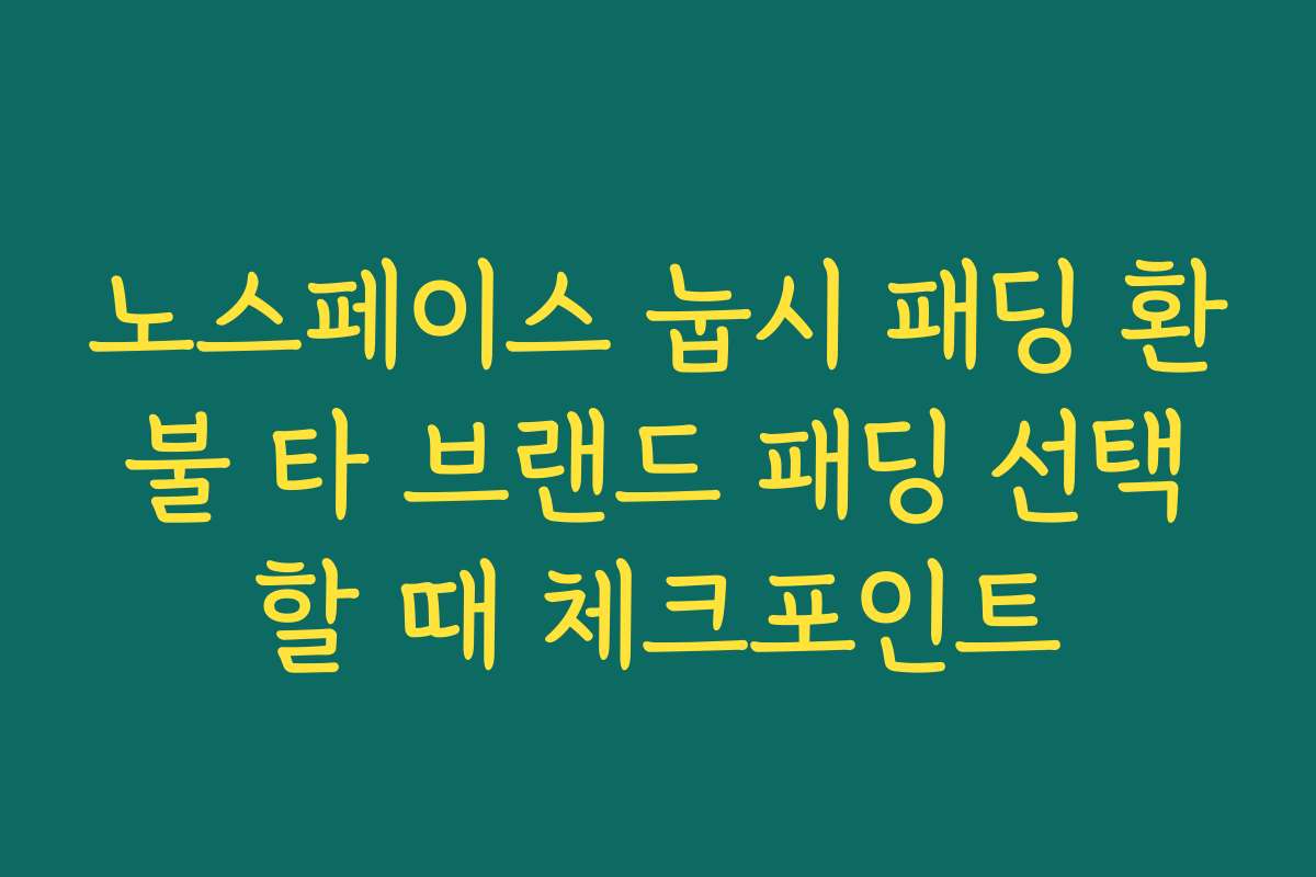 노스페이스 눕시 패딩 환불 타 브랜드 패딩 선택할 때 체크포인트
