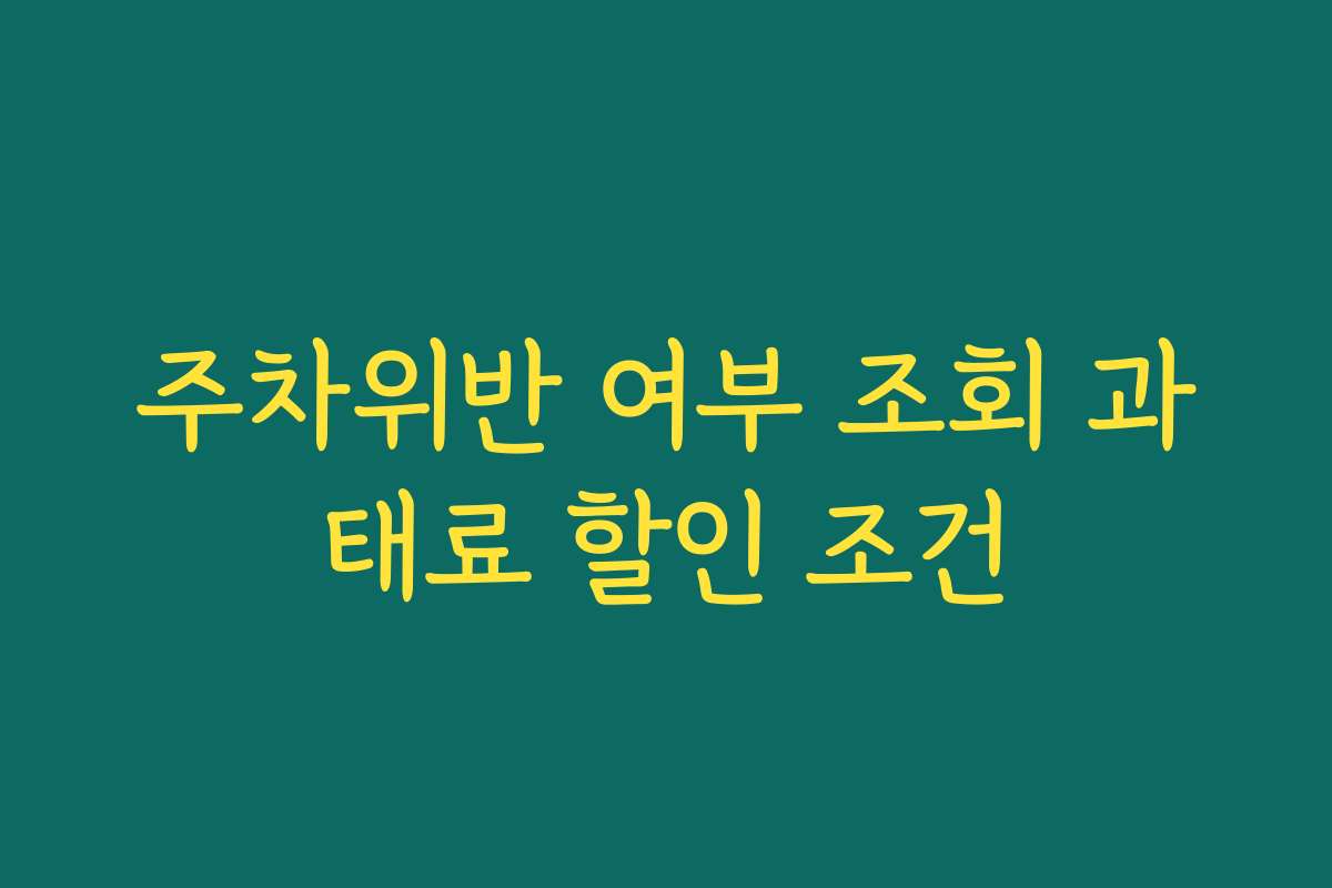 주차위반 여부 조회 과태료 할인 조건