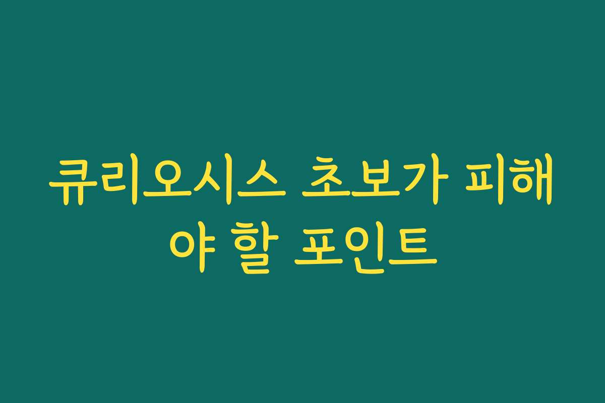 큐리오시스 초보가 피해야 할 포인트
