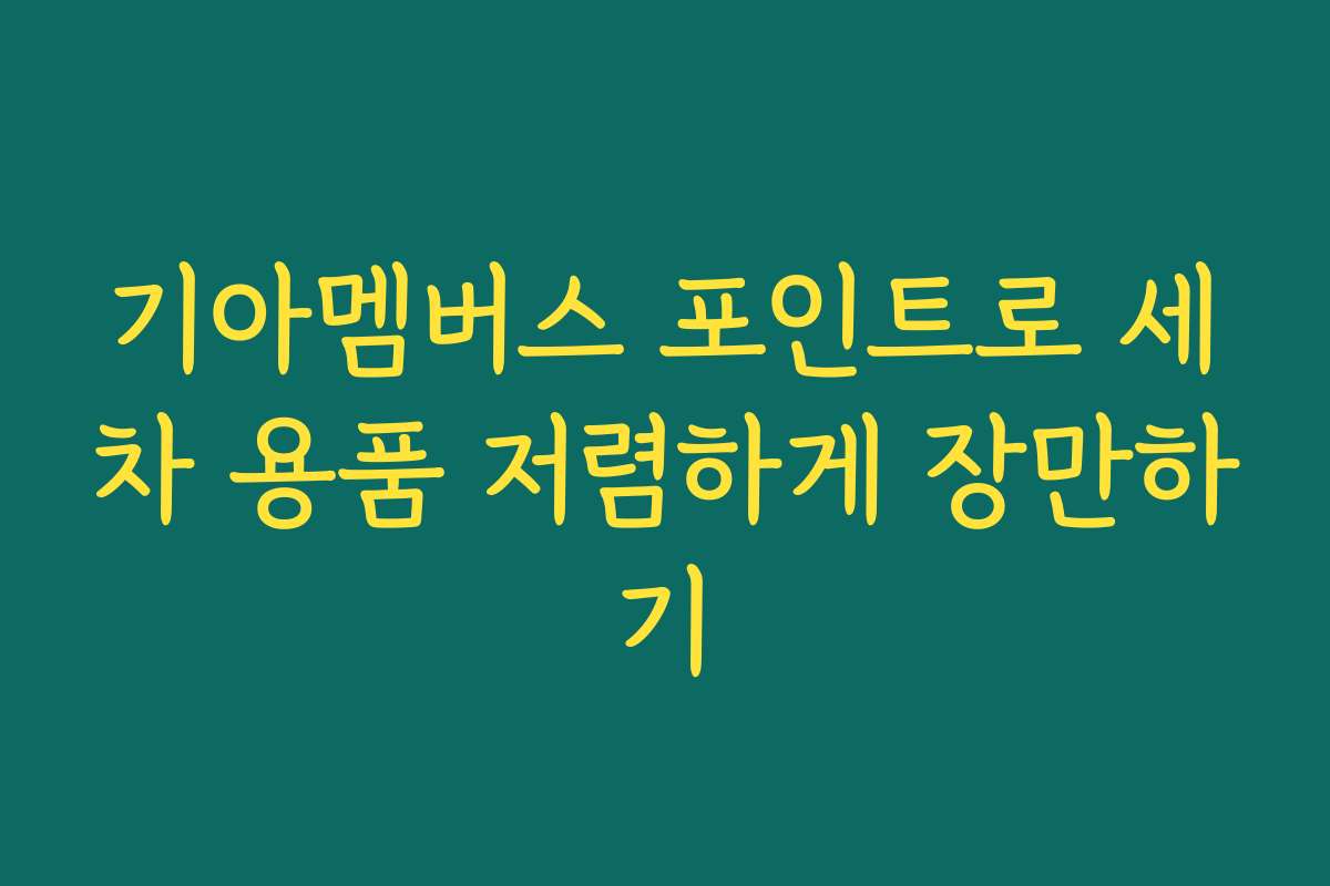 기아멤버스 포인트로 세차 용품 저렴하게 장만하기