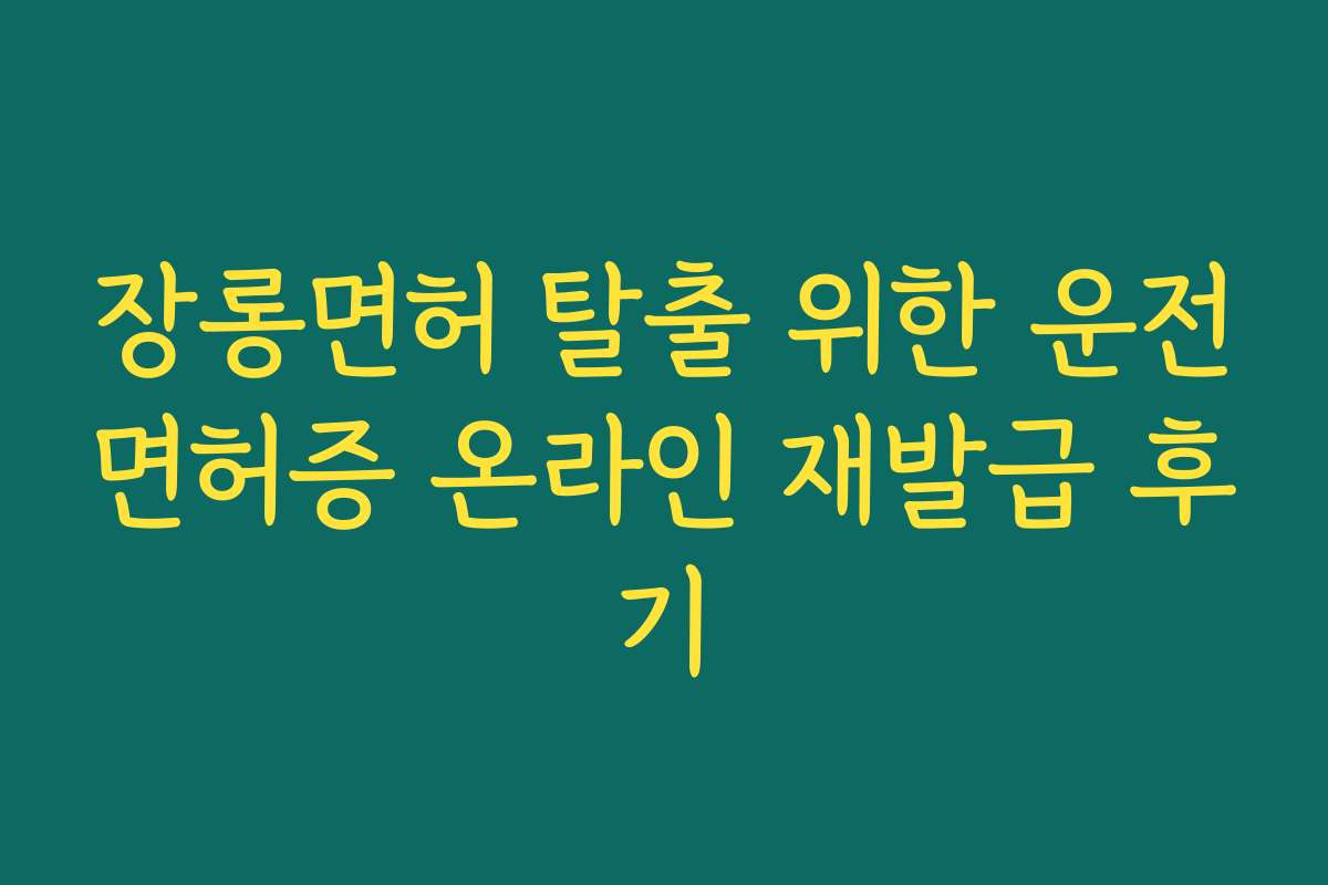 장롱면허 탈출 위한 운전면허증 온라인 재발급 후기