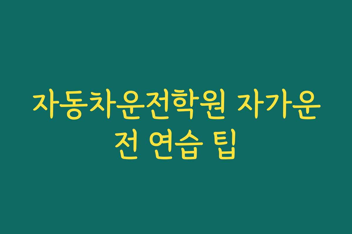 자동차운전학원 자가운전 연습 팁